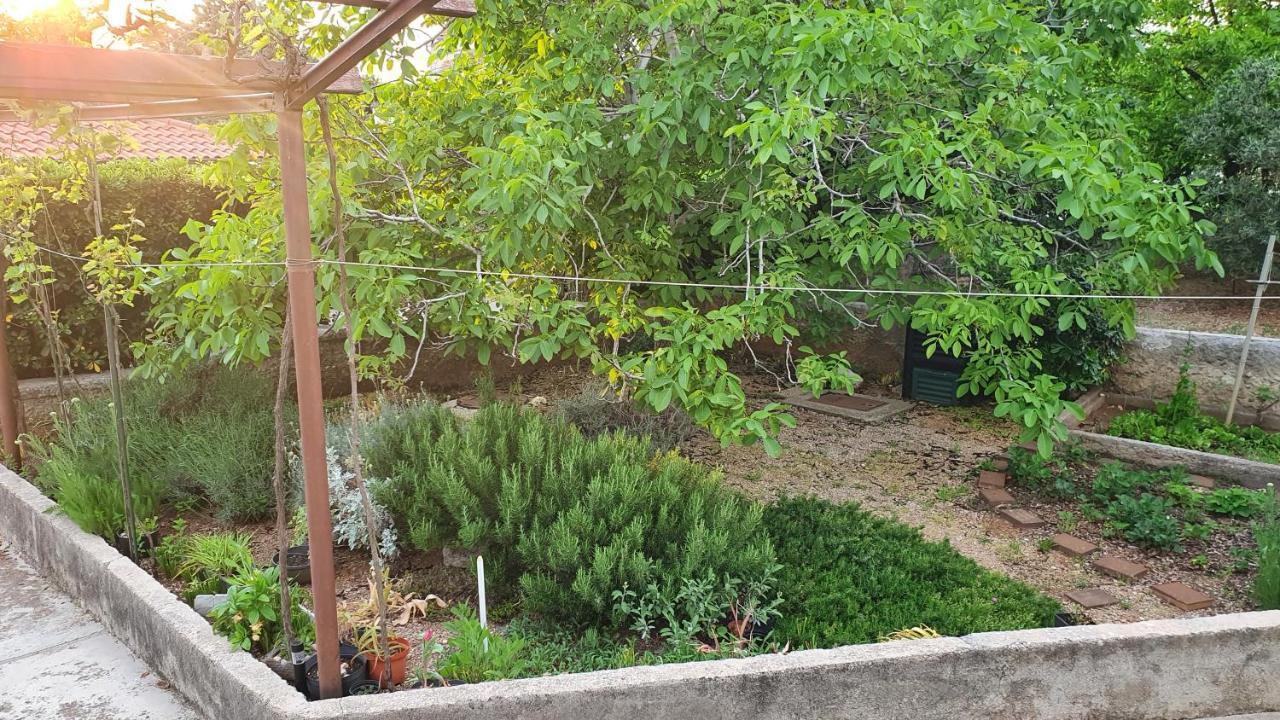 Appartment プナト エクステリア 写真